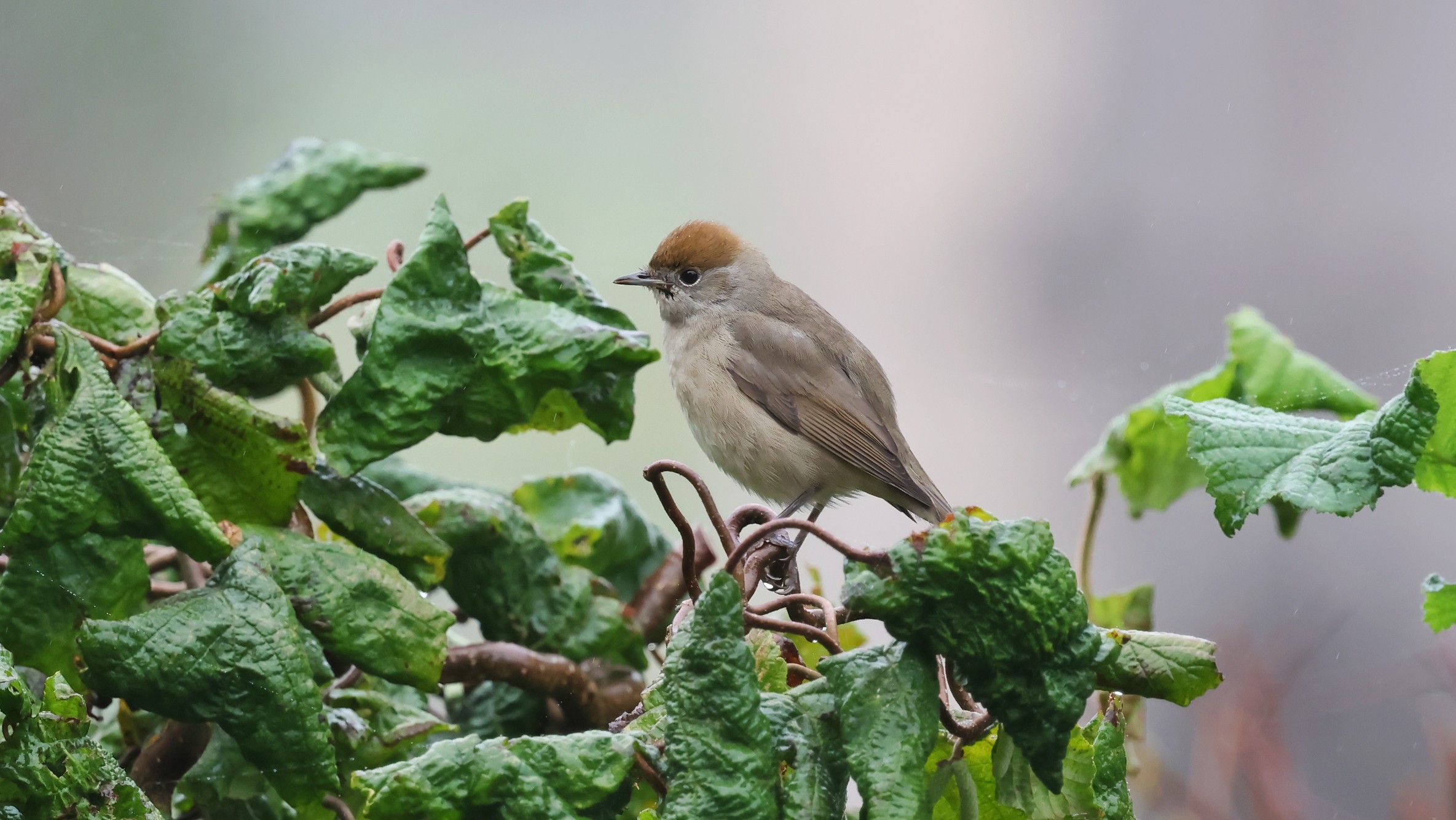 4d1e2a302-ea87-444e-bab3-32dc3a63456b.jpg 4d1e2a302-ea87-444e-bab3-32dc3a63456b.jpg