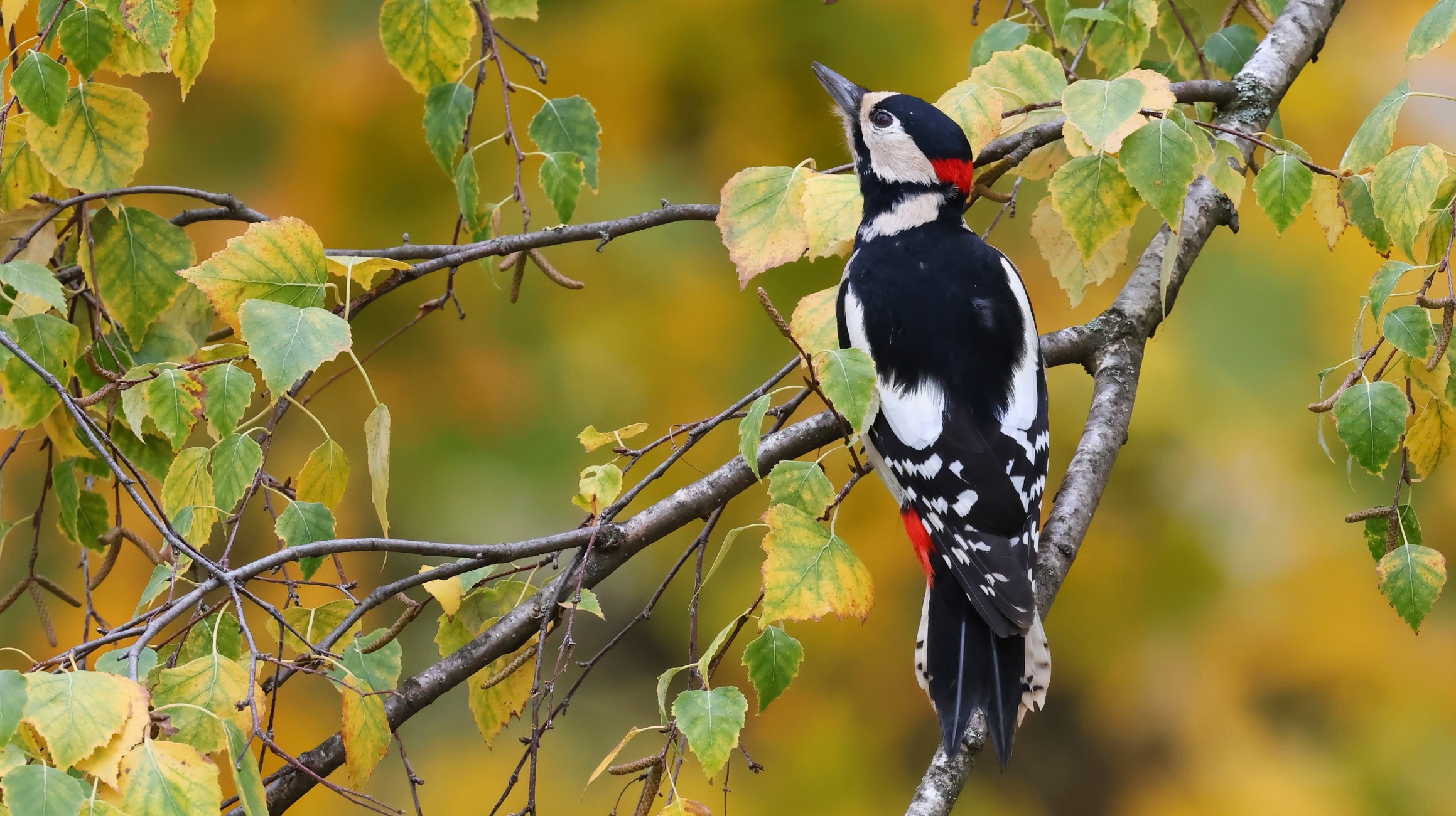 fa8cb863-90dd-4c5c-a4de-2be9aae43c08.jpg fa8cb863-90dd-4c5c-a4de-2be9aae43c08.jpg